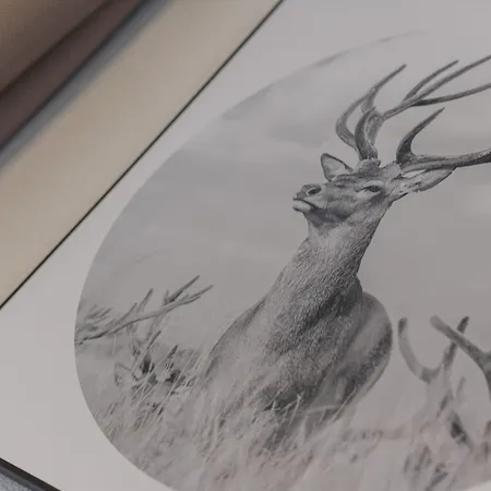 شقة In Near Amade Slopes كلينارل